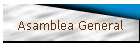 Asamblea General